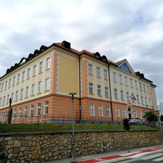 Novo Mesto Grammar School