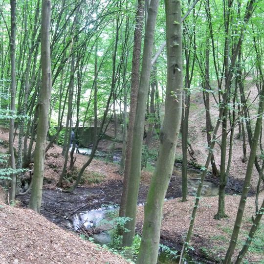 Nature reserve Krępiec