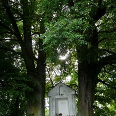 Lípy malolisté u Mukařova