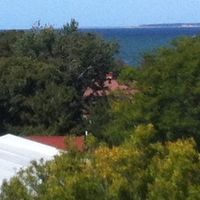Brewster