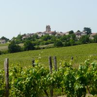 Montagnac-sur-Auvignon