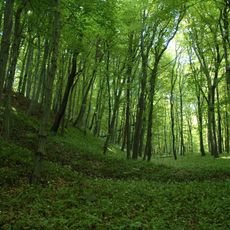 Celtic Castle on Jakob's Hill