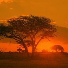 Matobo National Park
