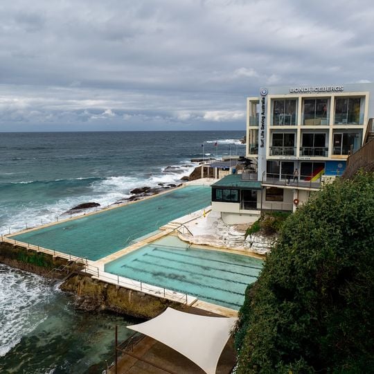 Bondi Icebergs