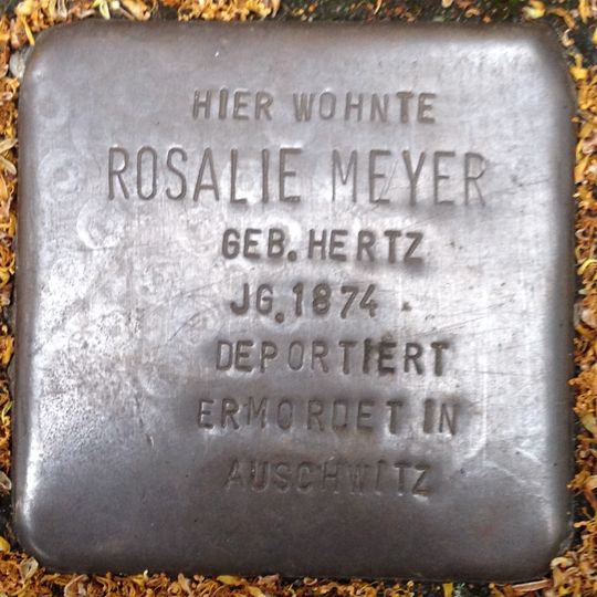 Stolperstein en memoria de Rosalie Meyer
