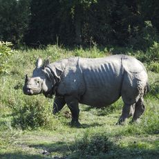Parque nacional de Kaziranga