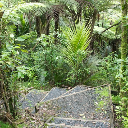 Pohuehue Scenic Reserve