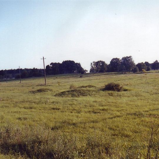 Mosėdžio pilkapiai