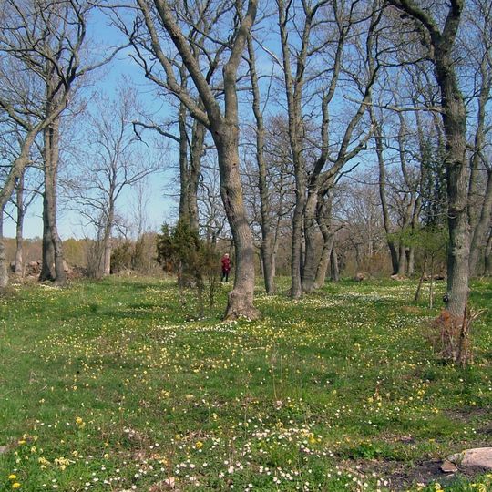 Södra Greda löväng