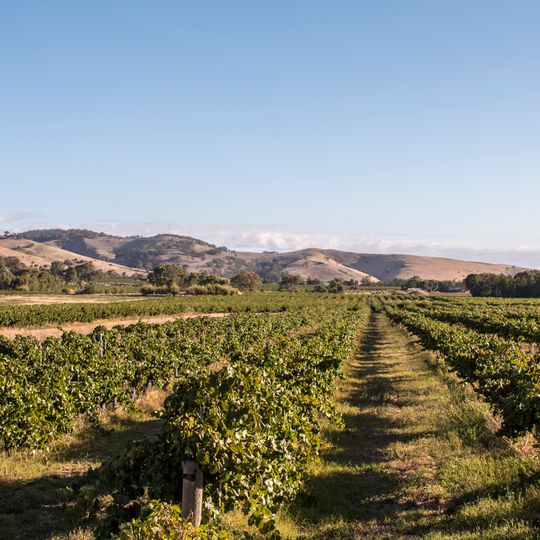 Barossa Valley