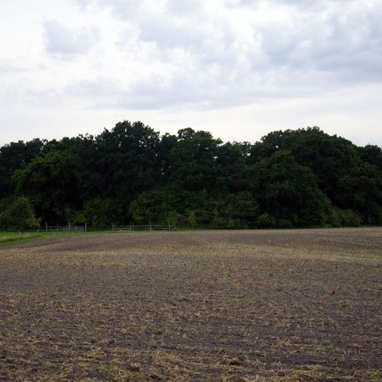 Burgwall Neu-Kentzlin