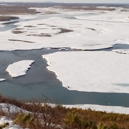 Anadyr