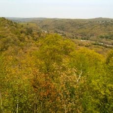 Mattatuck State Forest