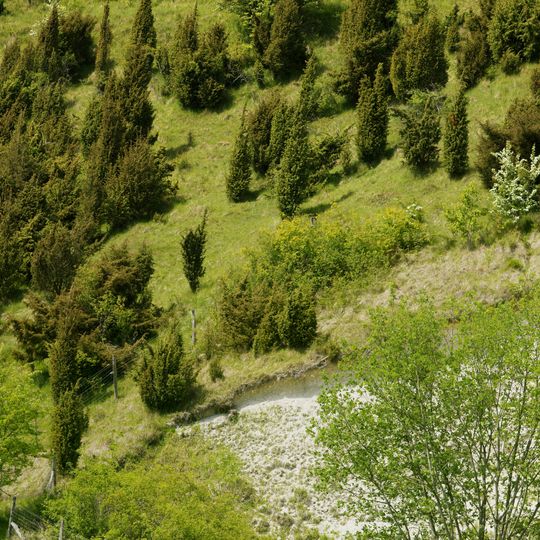 Riez De Noeux-Les-Auxi