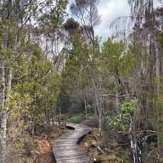 Alborns Coalmine Walk