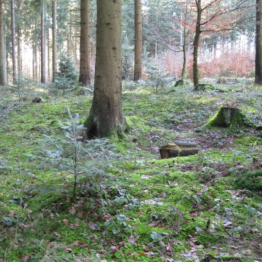 Kleinkastell Ebnisee