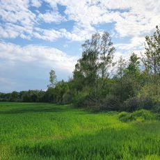 Bruch Deuben (south)