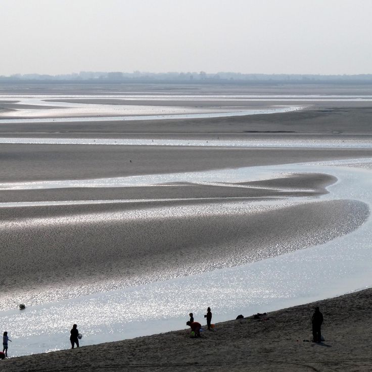 National Nature Reserve of the Bay of Somme