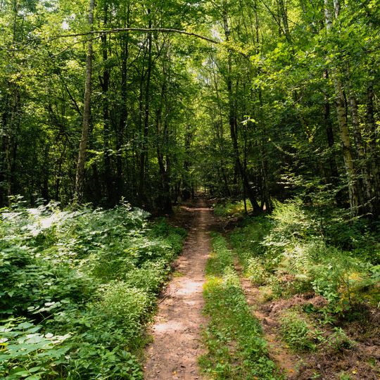 Landschaftsschutzgebiet im ehem. Landkreis St. Ingbert