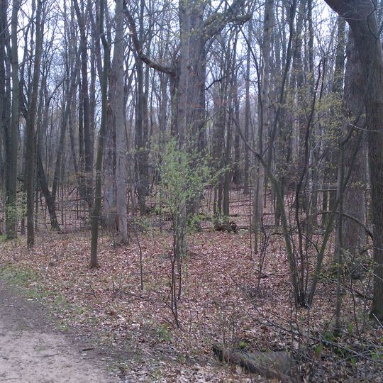 Waterloo-Pinckney Trail