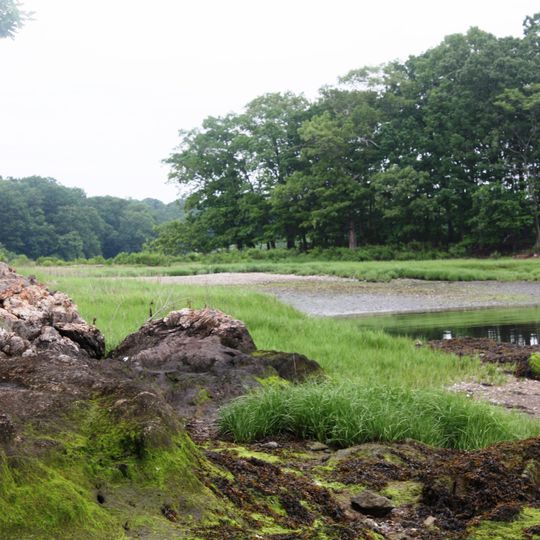 Marshlands Conservancy