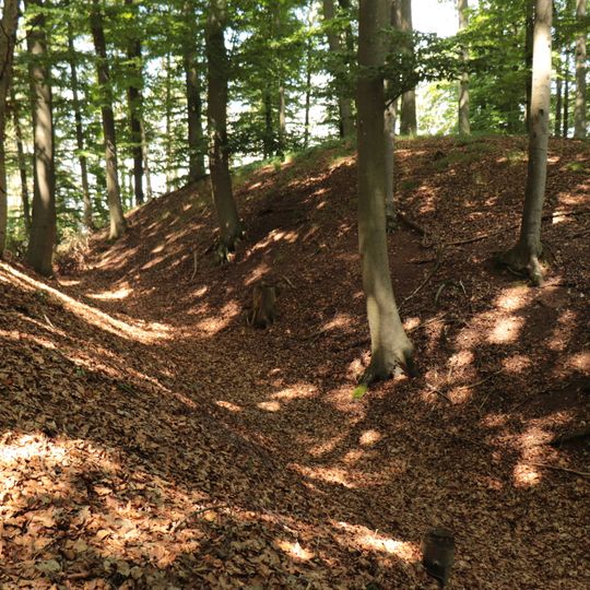 Burgstall Weißenkirchberg