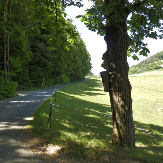 Bildbaum in der Moosau