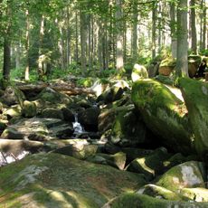 Saußbachleite S von Waldkirchen