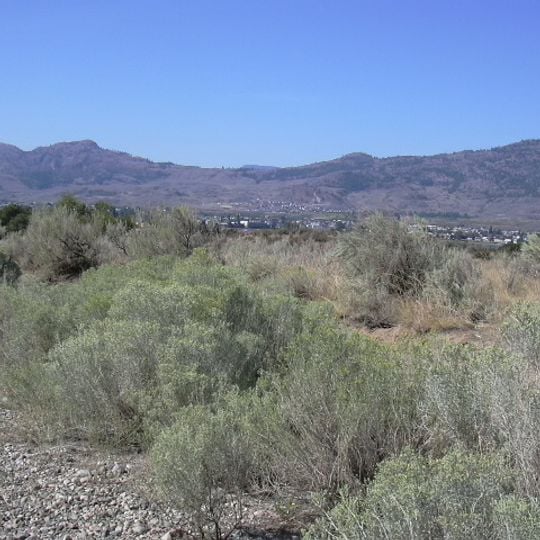 Okanagan Desert