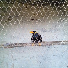 Monoroma Park & Mini Zoo