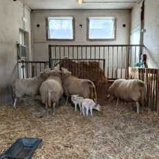 Kinderboerderij Rivierenhof