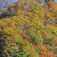 Kurobe