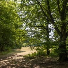 Waldgebiet östlich von Langenaubach