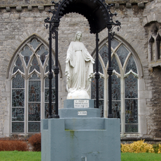 Mary Immaculate