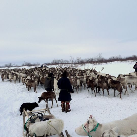 Circondario autonomo dei Nenec