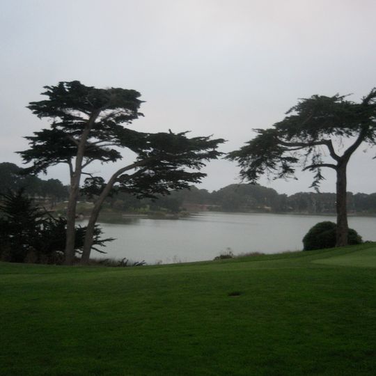 TPC Harding Park