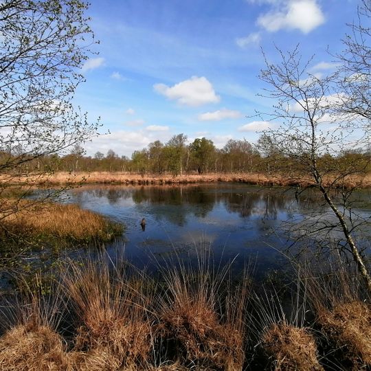 Brockzeteler Moor