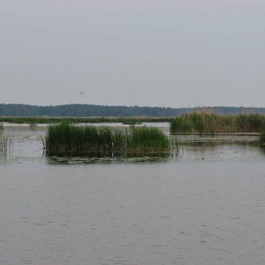 Babīte lake nature reserve