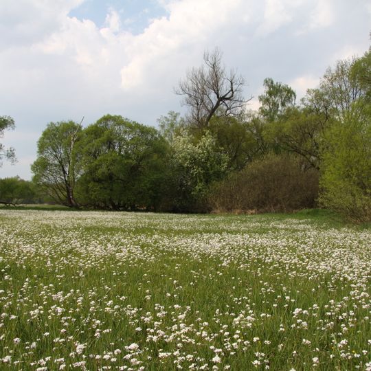 Mokřiny u Vomáčků