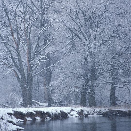 Biosphere Reservation Neroessa-Desna-Polesia
