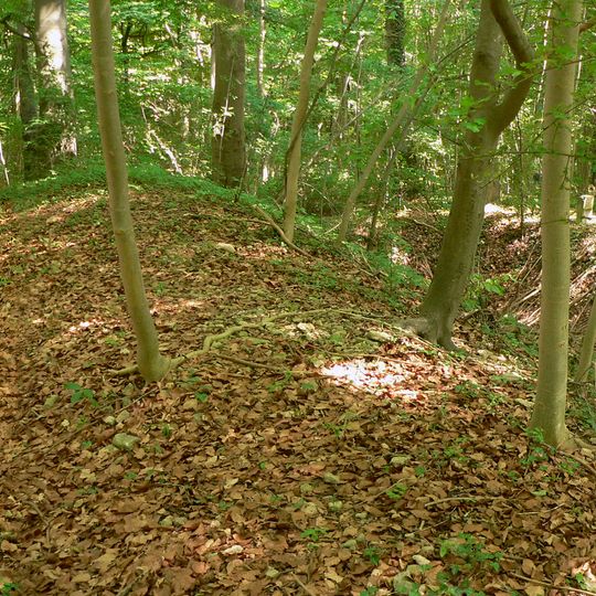 Ringwall auf dem Gehrdener Berg