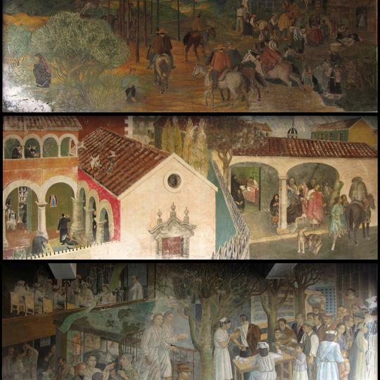 Historia de la medicina y la farmacia en Chile