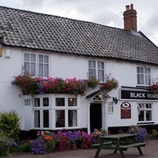Black Horse