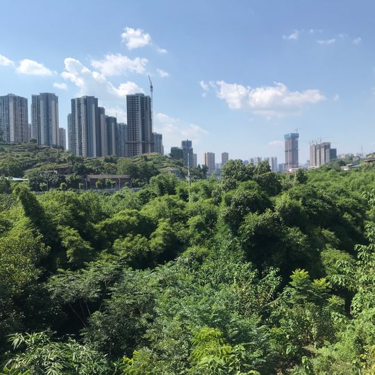 Distretto di Qijiang