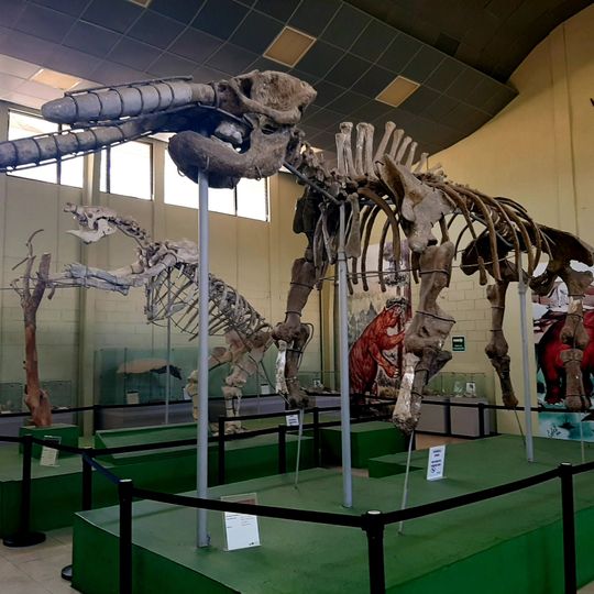 Museo de Paleontologia y Arqueología de Estanzuela