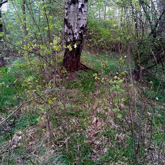 Die drei treuen Nachbarn