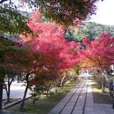 洞泉寺