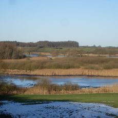 NSG Vogelfreistätte Lebrader Teich