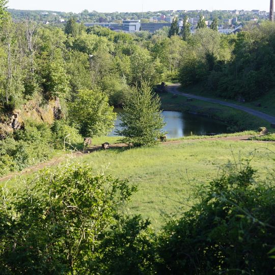 NSG Steinbruch Rauen