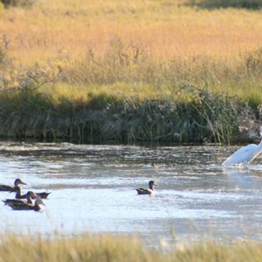 Summer Lake Wildlife Area